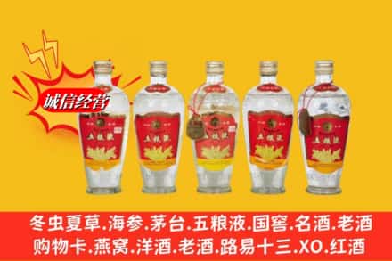 烟台市龙口回收老五粮液