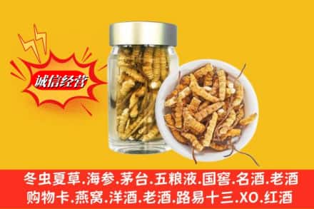 烟台市龙口回收散虫草