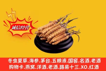 烟台市龙口求购回收虫草多少钱每克